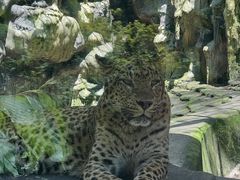 -贵州森林野生动物园