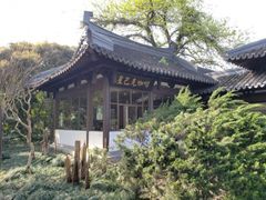 -星巴克(西湖天地店)