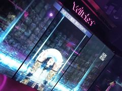 -温莎KTV(国贸店)
