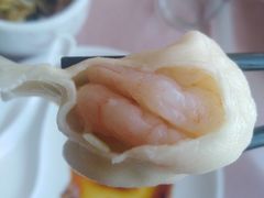 -添福来墨鱼饺子 · 海鲜东北菜(大连星海·黄浦路店)