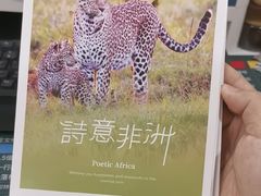 -好利来(新华店)