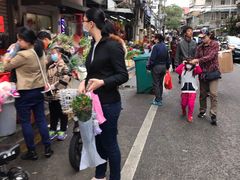 -溪岸路花鸟市场