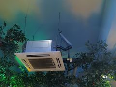 -东北小板凳地摊烧烤(泰来街店)