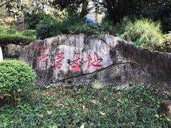 -铁山坪森林公园