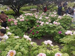 -郑州植物园