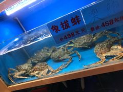 -虾佬圣汤