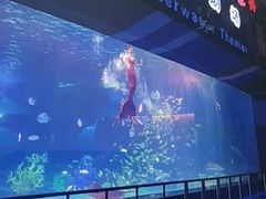 -泉城欧乐堡海洋极地世界