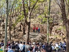 -红嫂家乡旅游区