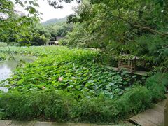-兰亭风景区