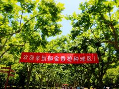 -上海鲜花港