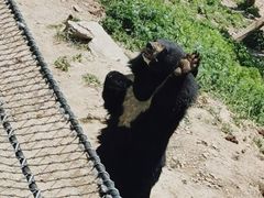 -大连森林动物园