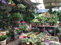 -沪花拾者(好再来花卉鲜花店)