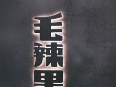 -毛辣果·酸