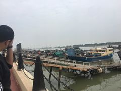 -大湾区中央湿地公园-十九涌