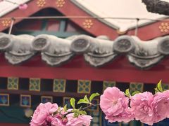 -北京湖广会馆