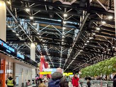 -谢列梅捷沃国际机场