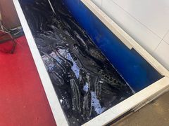 -活鱼馆(宜兴埠店)