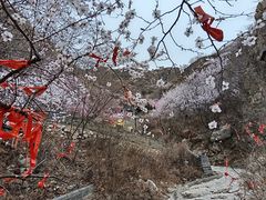 -鸡鸣山旅游风景区