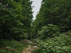 -重庆中央公园(渝北区)