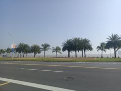 -金悦轩海鲜酒家(拱北店)