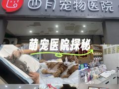 -四月宠物医院·猫专科·心脏专科·内科(转塘店)