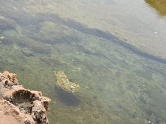 -维乐口腔医院(星海湾分院)