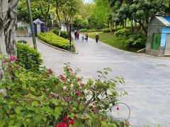 -柳侯公园