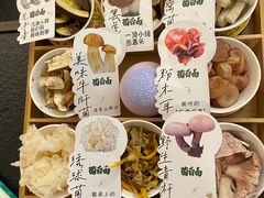 -菌自由丨野生菌火锅特色庭院餐厅(丽江古城店)