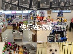 -翊宠yipet猫狗购宠庄园犬舍•猫舍