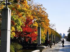 -上海科技馆(地铁站)