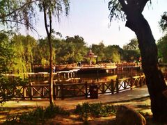 iphone_upload_pic-沈阳南湖公园