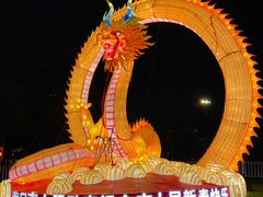 -万绿园