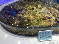 -澜悦港海鲜体验主题餐厅