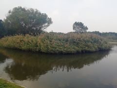 -东方假日田园-停车场