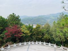 -红山村