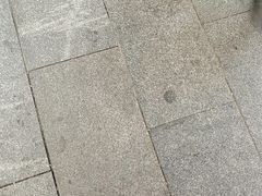 -探鱼·鲜青椒爽麻烤鱼(北京路天河城店)