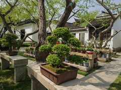 -东山雕花楼