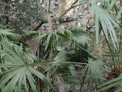 -善卷洞风景区
