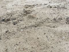 -阳光海岸