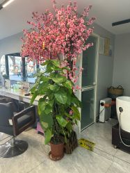 -渲格造型