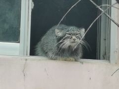 -青藏高原野生动物园