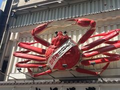 -蟹道乐(道顿堀本店)