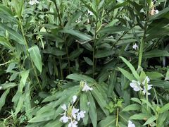 -碓臼峪自然风景区