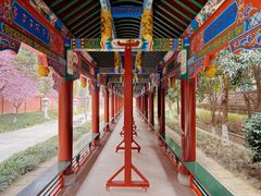 -铁像寺
