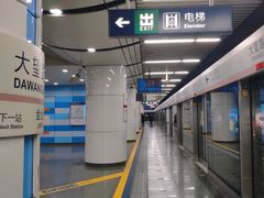-大望路(地铁站)