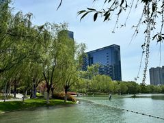 -天鹅湖体育公园