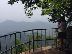 -抱犊崮国家森林公园