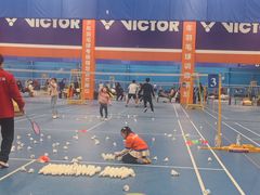 -东坡羽毛球馆(东坡南一路店)