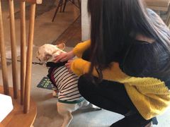 -the rug 飞毯 (朝阳公园店)