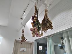 -OM瑜伽教练培训学院